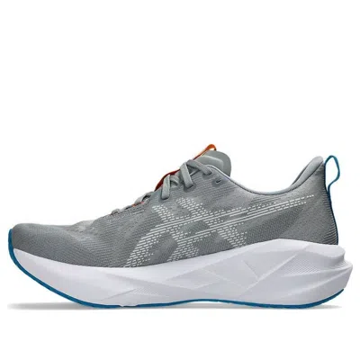 Asics Novablast 5 2e Wide 'gravel White' In Gray