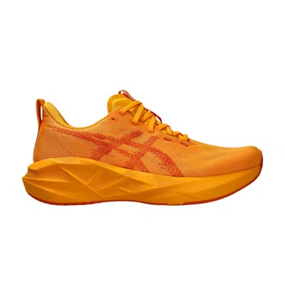 Pre-owned Asics Novablast 5 'yamabuki Anzu' | Orange | Men's Size 12