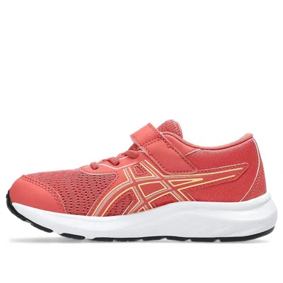 Asics (ps)  Contend 9 'dark Pink Clay'