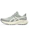 Asics (wmns)  Gt-2000 13 Atc 'seal Grey Brich'