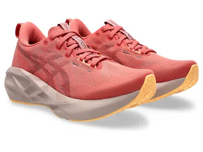 Asics Novablast 5 In Brown