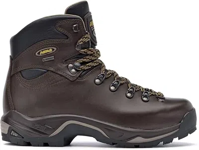 Asolo Men's Technical Terrian Hiking Boots In Chestnut In Pink