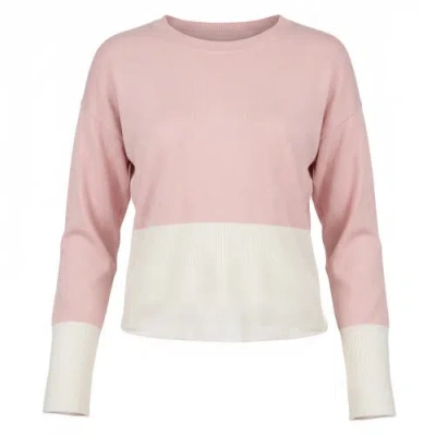 Aspect Two Tone Crop Knit Ribbed Trim Top In Multi