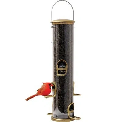Aspects (#asp420) Antique Brass Quick Clean Big Tube Feeder, Large In Brown;brown