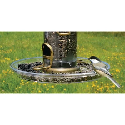 Aspects Quick Clean Bigfoot Seed Tray Bird Feed