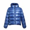 Aspesi Budd Puffer Jacket In Shiny Light Blue Fabric In Blue