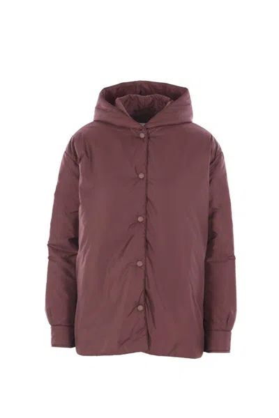 Aspesi Hooded Padded Jacket In Brown