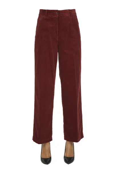Aspesi Corduroy Trousers In Burgundy