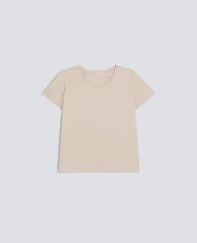 Aspesi Cotton Jersey T-shirt In Multi