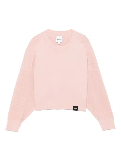 Aspesi Kids' Cotton Sweater In Pink