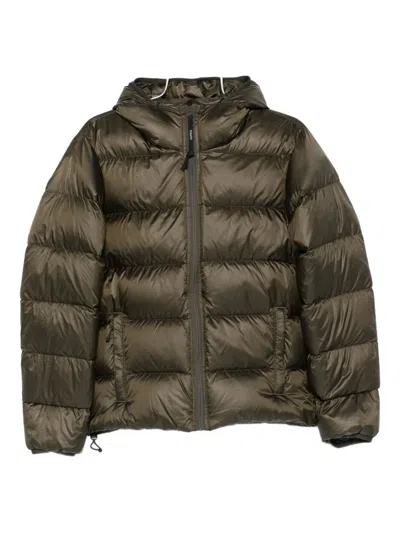 Aspesi Hooded Padded Coat In Green