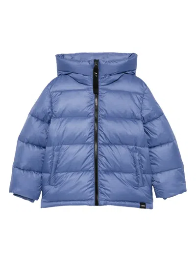 Aspesi Hooded Padded Jacket In Blue