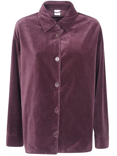 Aspesi Jacket Classic Velvet "barbera" In Red