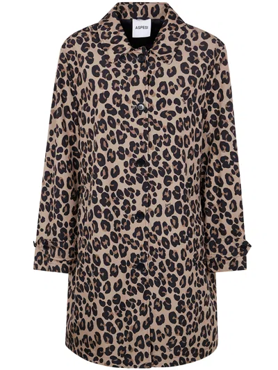 Aspesi Lemonade Windbreakers In Brown