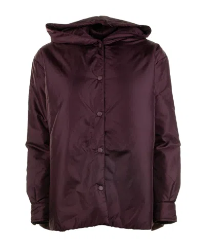 Aspesi Long-sleeved Button-up Hooded Jacket In Burgundy