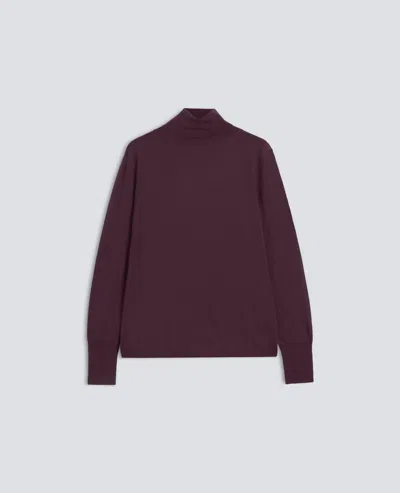 Aspesi Merino Wool Roll-neck Knit - Barbera In Purple