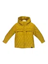 Aspesi Ocher Yellow Quilted Duvet In Green