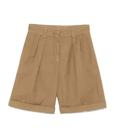 Aspesi Pleat-detailed Shorts In Brown