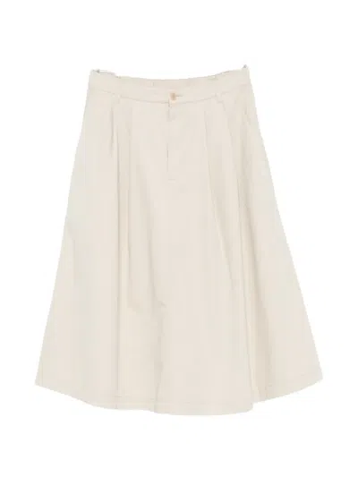 Aspesi Pleated A-line Skirt In Gray