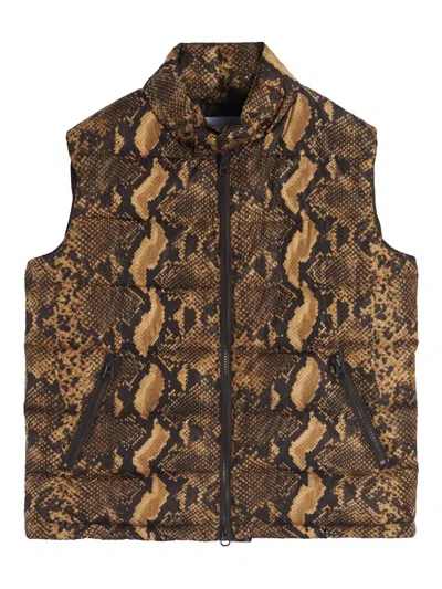 Aspesi Python Print Vest In Multi