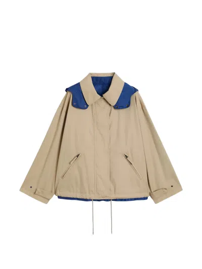 Aspesi Reversible Hooded Jacket In Brown