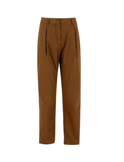 Aspesi Terra Chino Trousers With Darts In Brown