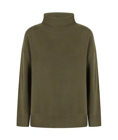 Aspesi Turtleneck Ribbed Knit Pullover In Brown