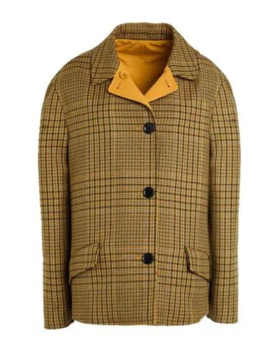 Aspesi Woman Coat Mustard Size 6 Virgin Wool In Yellow