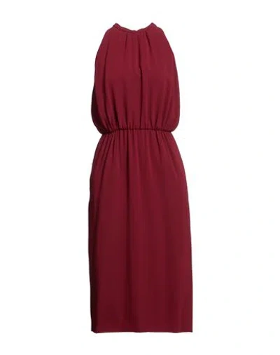 Aspesi Woman Midi Dress Burgundy Size 2 Triacetate, Polyester In Red