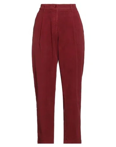 Aspesi Woman Pants Brick Size 8 Cotton, Elastane In Red