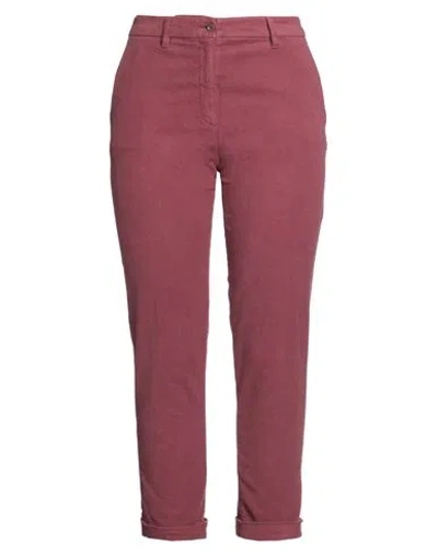 Aspesi Woman Pants Brick Size 8 Cotton, Elastane In Red