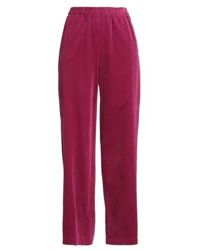 Aspesi Woman Pants Magenta Size 4 Cotton In Purple