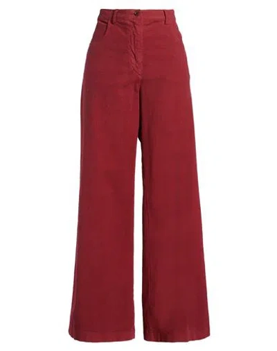 Aspesi Woman Pants Rust Size 8 Cotton, Elastane In Red