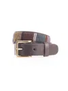 Aspiga Belts In Multicolor