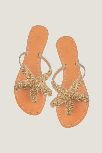Aspiga Ladies Sustainable Kenyan Beaded Starfish Sandals Gold Summer Flip Flops | 38