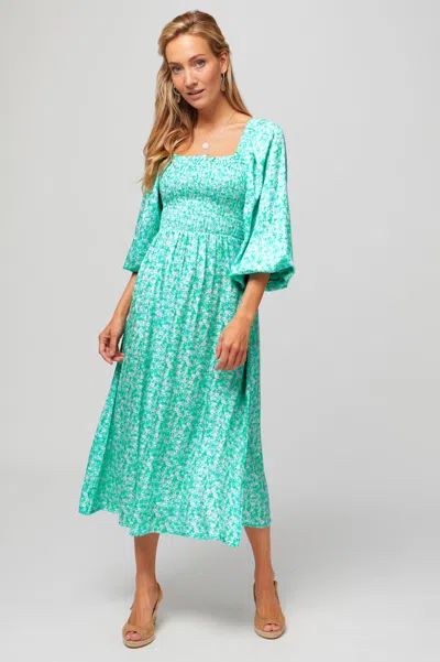 Aspiga Ladies Sustainable Nancy Dress Meadow Bloom Green Floral | S/10 - (uk 10/us 6/eu 38) In Gray