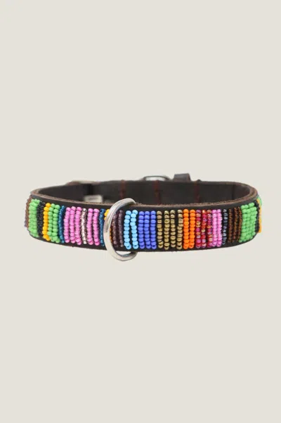 Aspiga Sustainable Maasai Dog Collar Leather Multicoloured Multishine | M/12 - (uk 12/us 8/eu 40) In Neutral