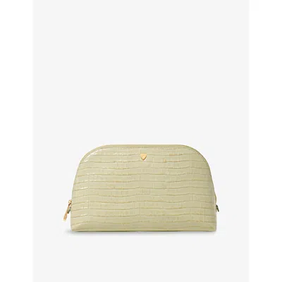 Aspinal Of London Pistachio Classic Cosmetic Case In Green