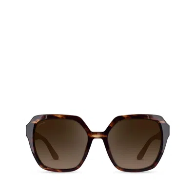Aspinal Of London Hudson Women's Sunglasses In Brown