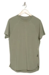 Asrv Established T-shirt In Sage