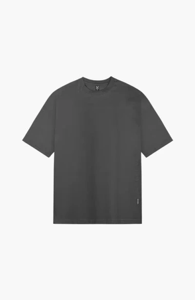 Asrv Supima Oversized Tee In Gray