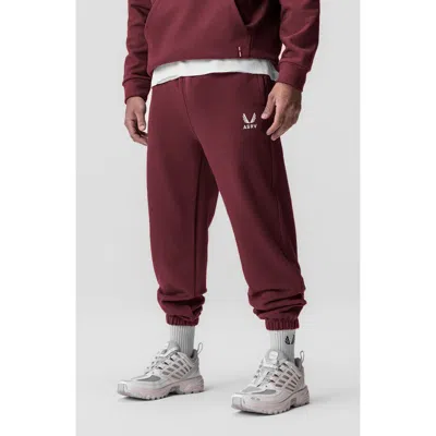 Asrv Tech Terry Oversized Sweatpants In Burgundy