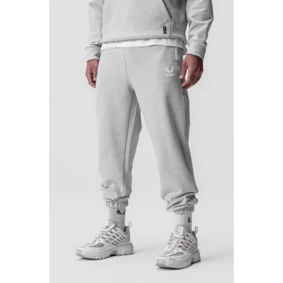 Asrv Tech Terry Oversized Sweatpants In Gray