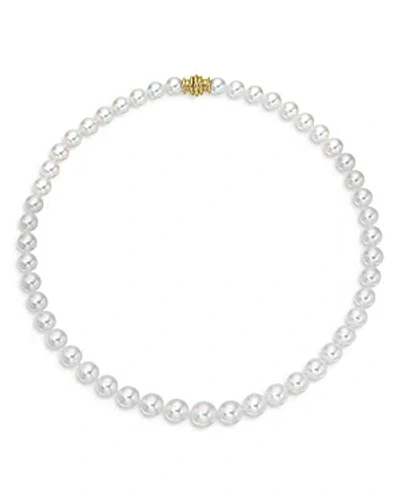 Assael 18k Yellow Gold Akoya Program Japanese Akoya Cultured Freshwater Pearl Graduated Collar Necklace, 18 In White