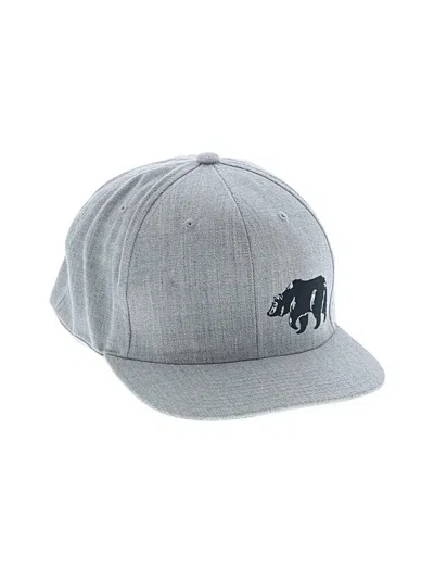 Pre-owned Assorted Brands Baseball Cap In Gray