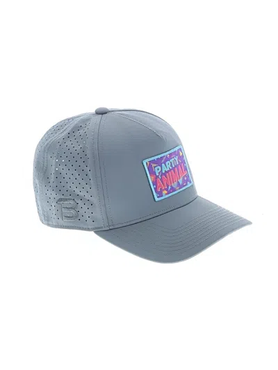 Pre-owned Assorted Brands Baseball Cap In Gray
