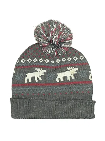 Pre-owned Assorted Brands Kids' Beanie Hat In Gray