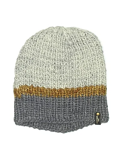 Pre-owned Assorted Brands Beanie Hat In Gray