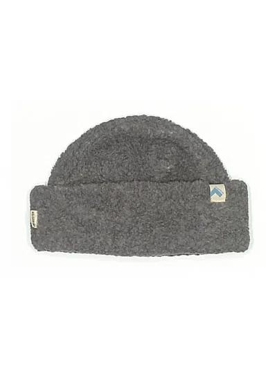 Pre-owned Assorted Brands Beanie Hat In Gray