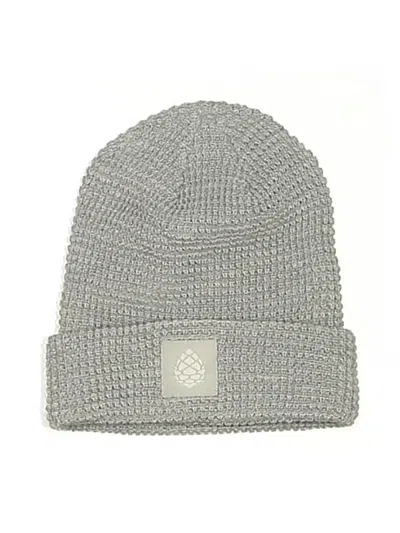 Pre-owned Assorted Brands Beanie Hat In Gray
